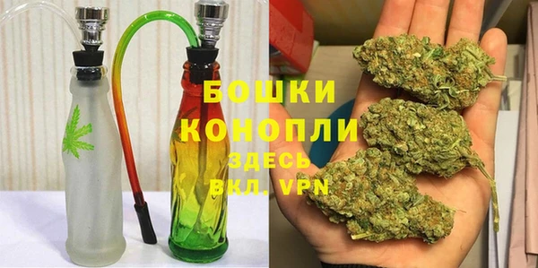 дмт Тавда